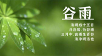 【二十四節(jié)氣灸】谷雨時節(jié)，用艾為您的健康加上一道保險！