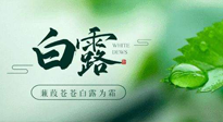 【二十四節(jié)氣灸】白露涼爽，養(yǎng)心肝脾胃、滋陰潤肺是關(guān)鍵！